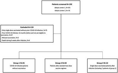 Humoral Responses to Single-Dose BNT162b2 mRNA Vaccination in Dialysis Patients Previously Infected With SARS-CoV-2